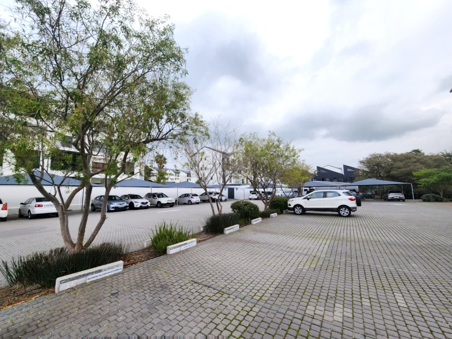 To Let commercial Property for Rent in Paardevlei Western Cape